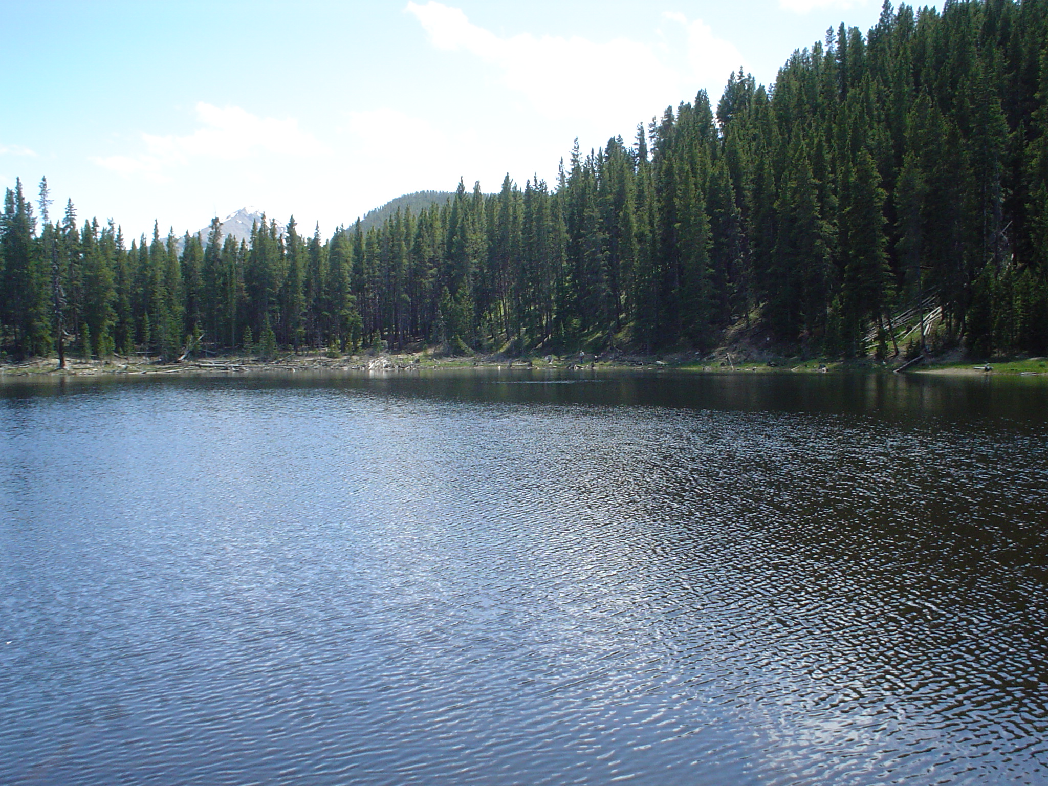 a lake with many trees in the background