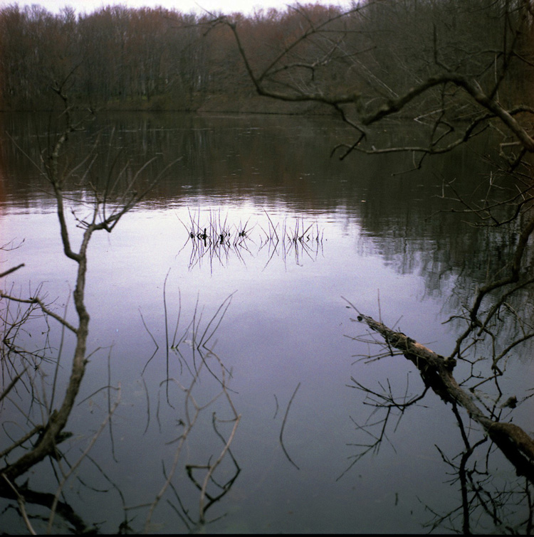 the trees are bare on either side of the water