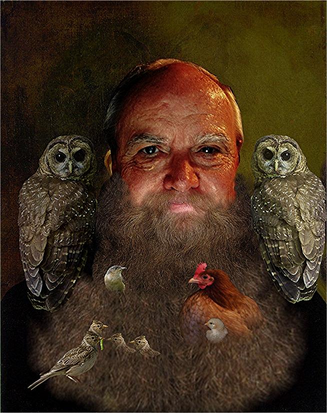 an artistic painting of a man with owls on his shoulders