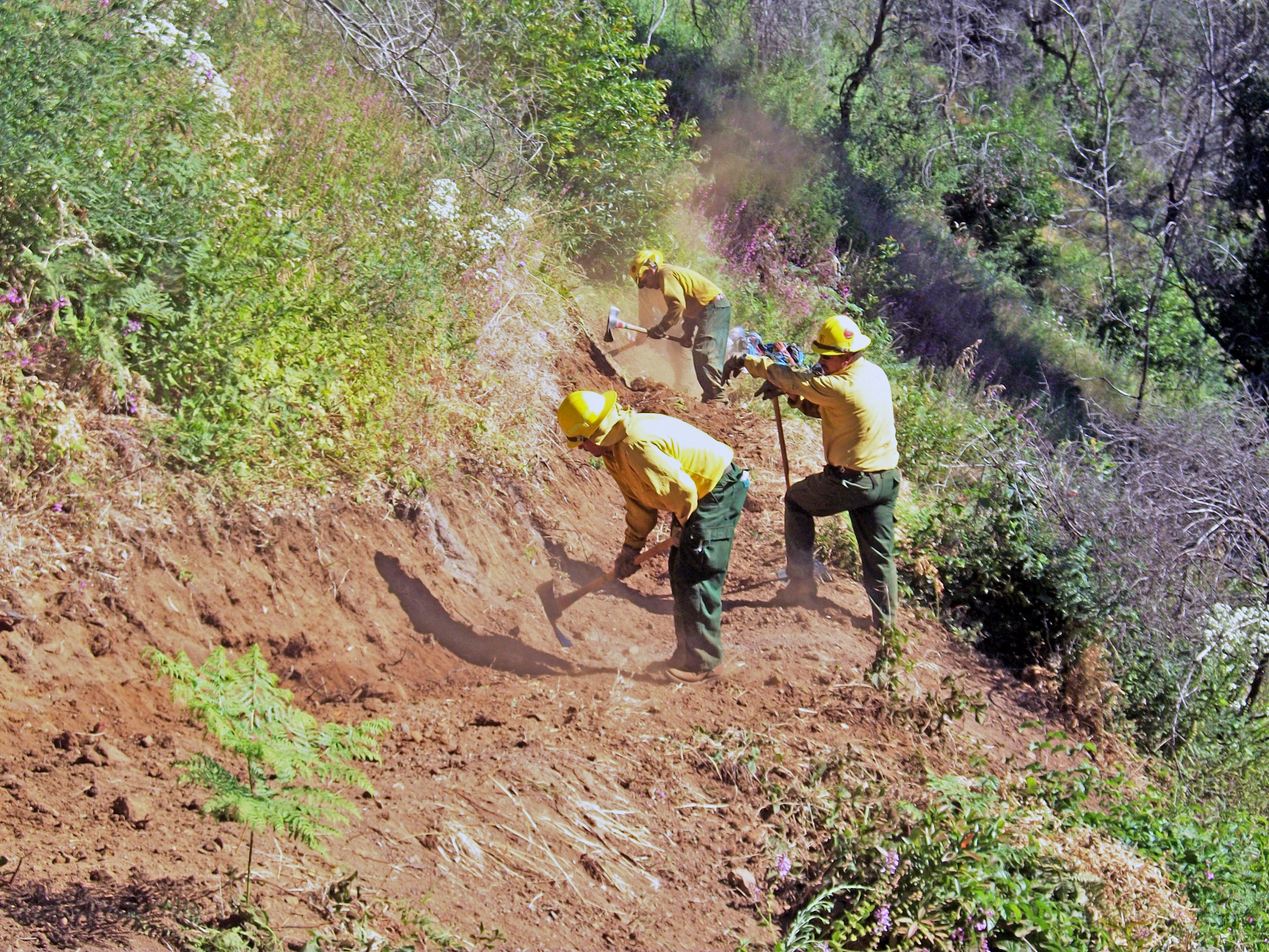 several men in yellow working with fire hydrants on a hill