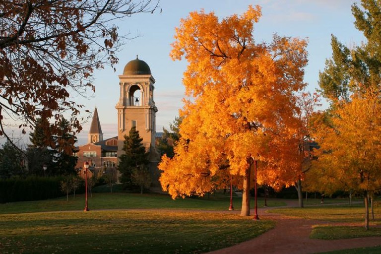 a clock tower and grassy area in front of fall foliage