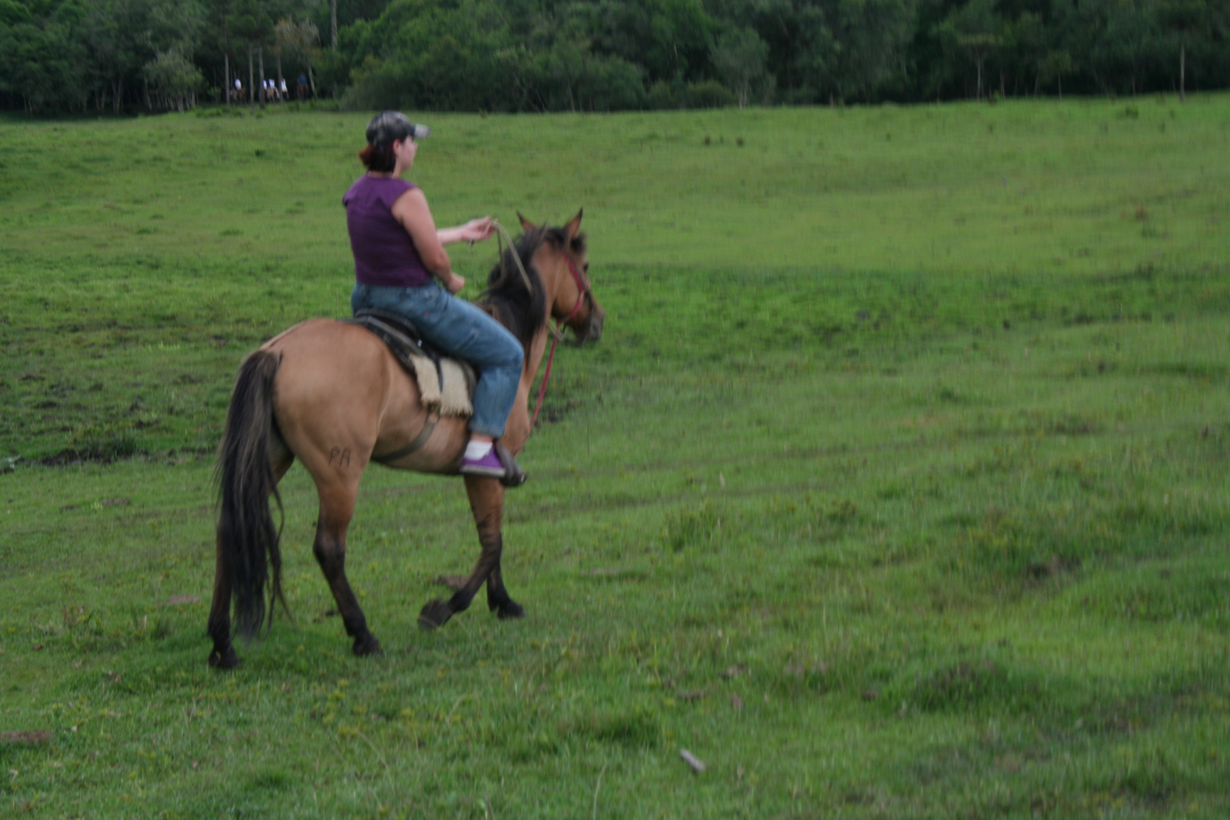 a woman riding on the back of a horse in a field