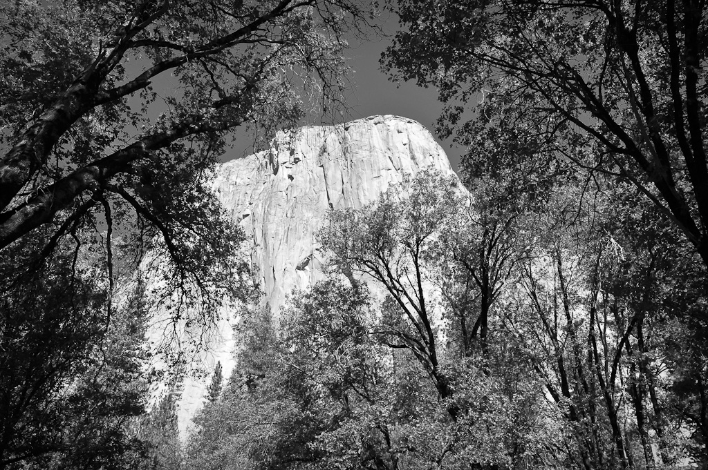 a cliff surrounded by trees and foliage under a dark sky