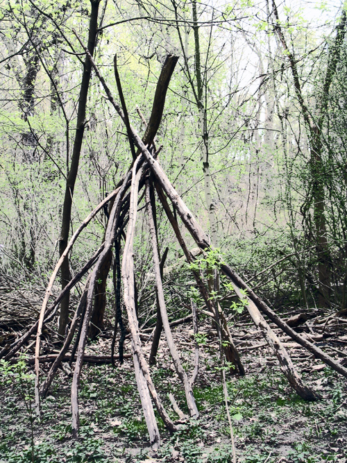 there is a wooden structure made out of nches and twigs