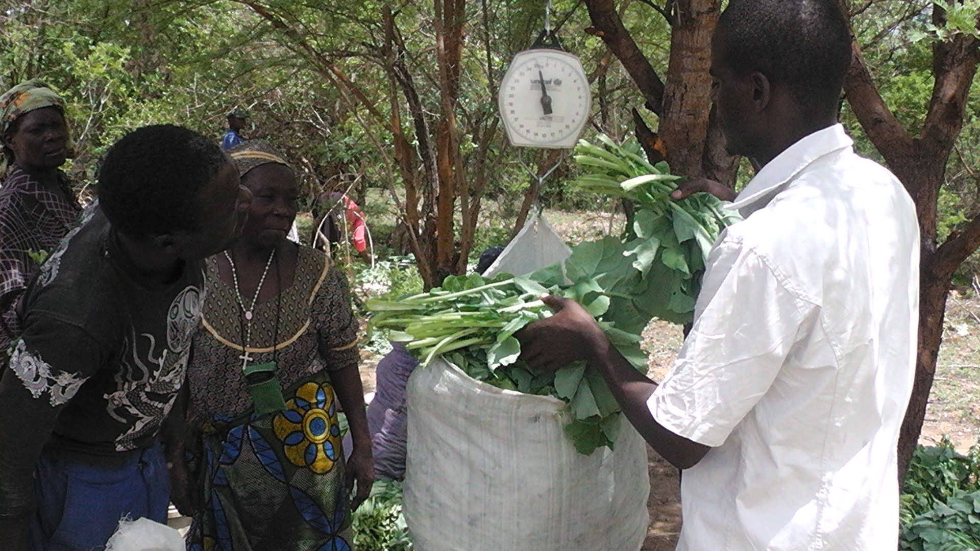 men standing around talking with trees in the background