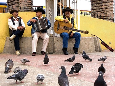three men playing instruments while pigeons watch