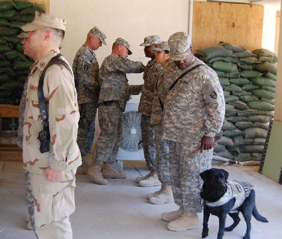 a couple of men in uniform standing next to a dog