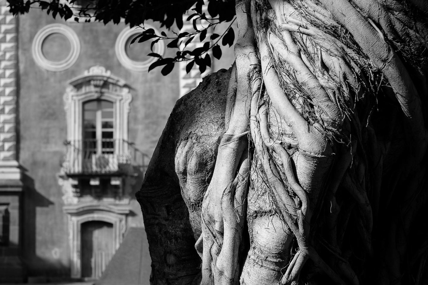 tree in front of a building with a large statue