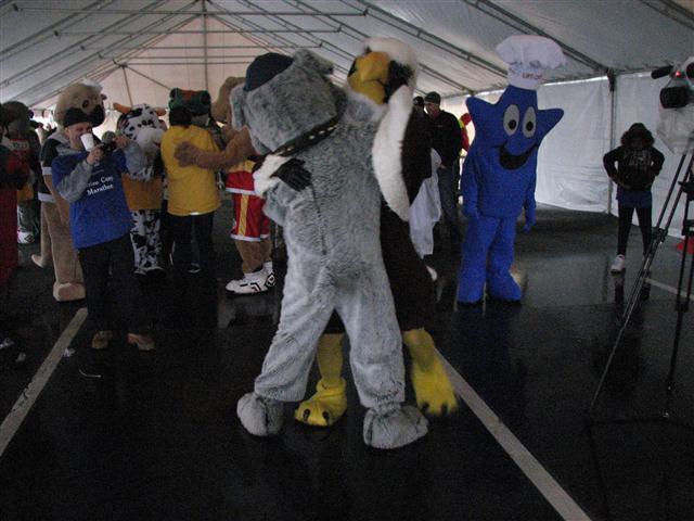 a couple of mascot standing in front of a crowd