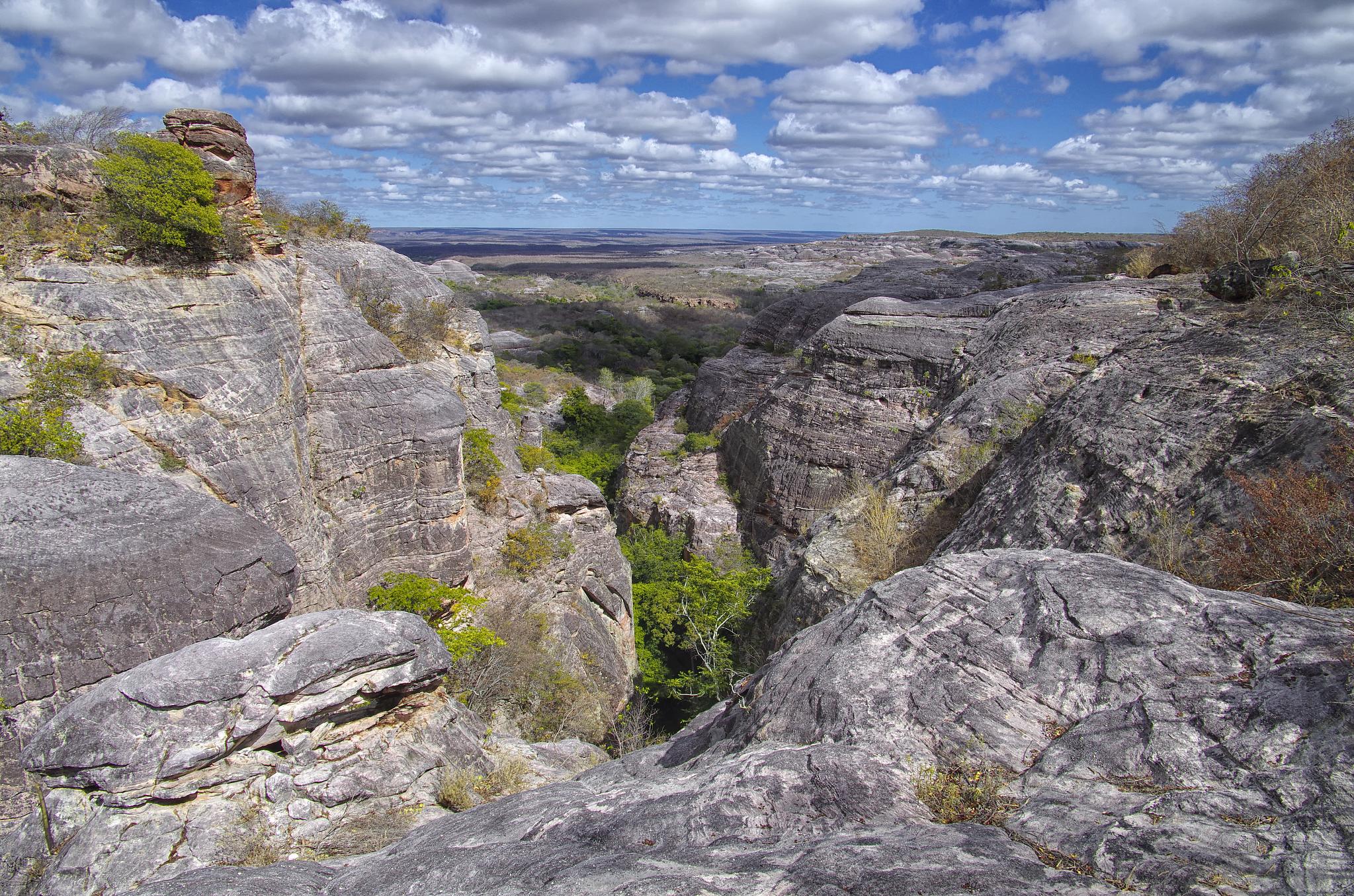 rocky canyon with grass growing on top and blue skies in the background