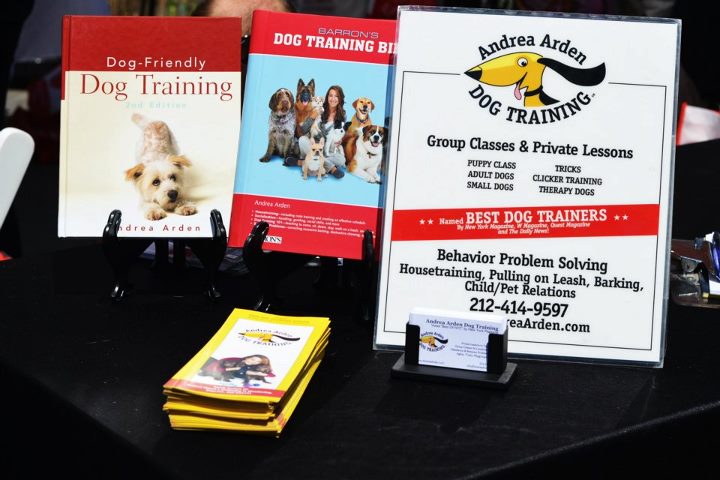 dog training equipment displayed on a table with cards