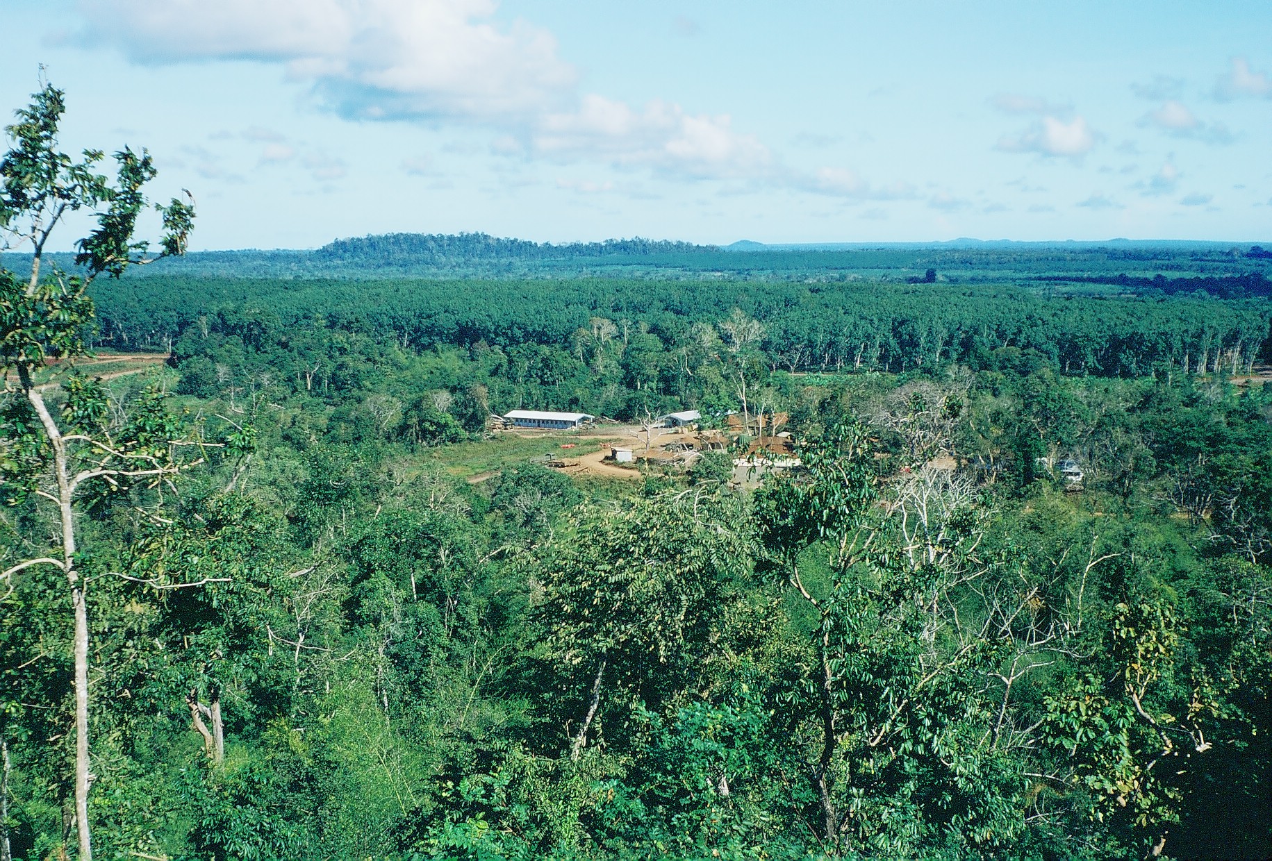 the view from the top of a hill of some green trees