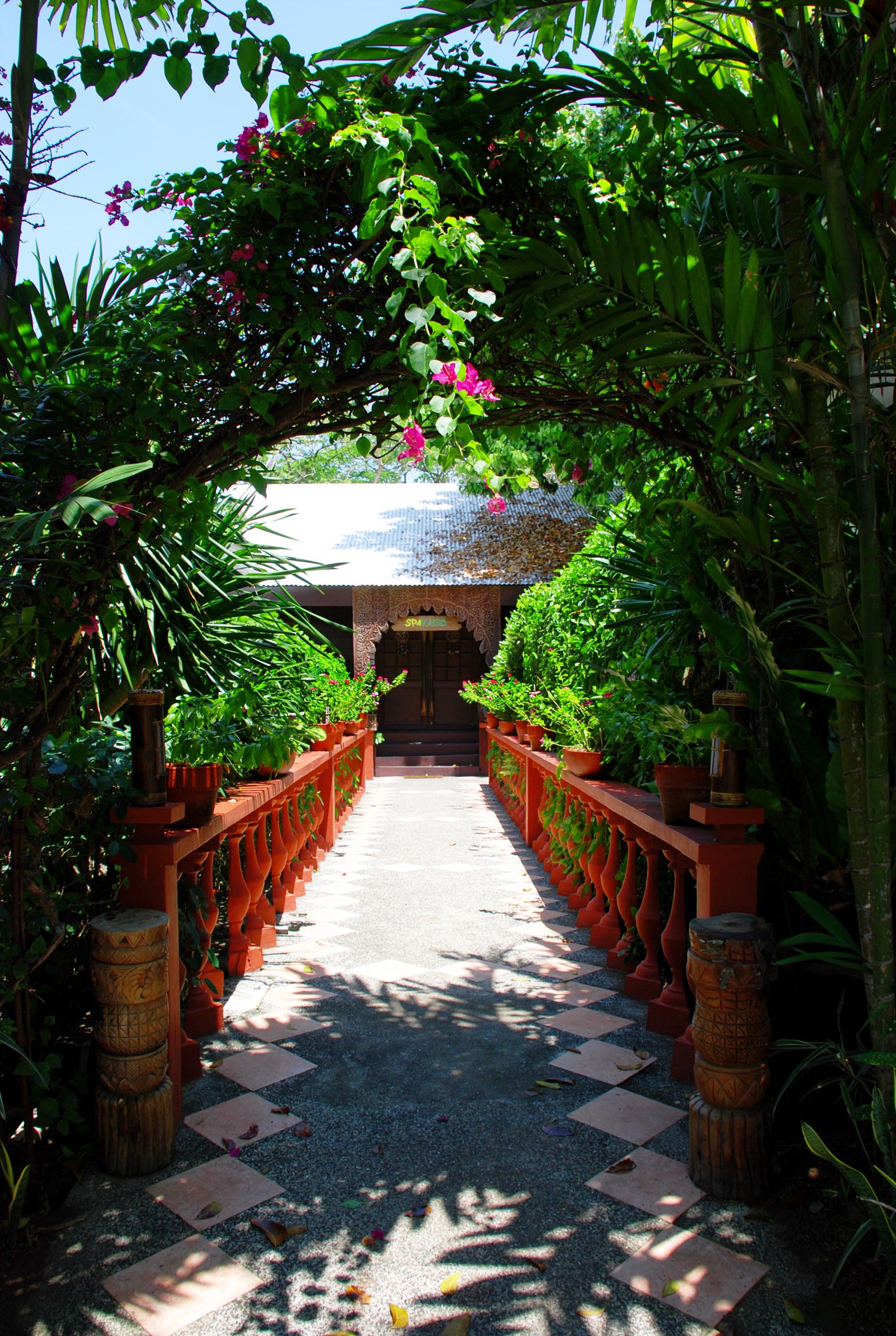 a small garden with trees and plants near by