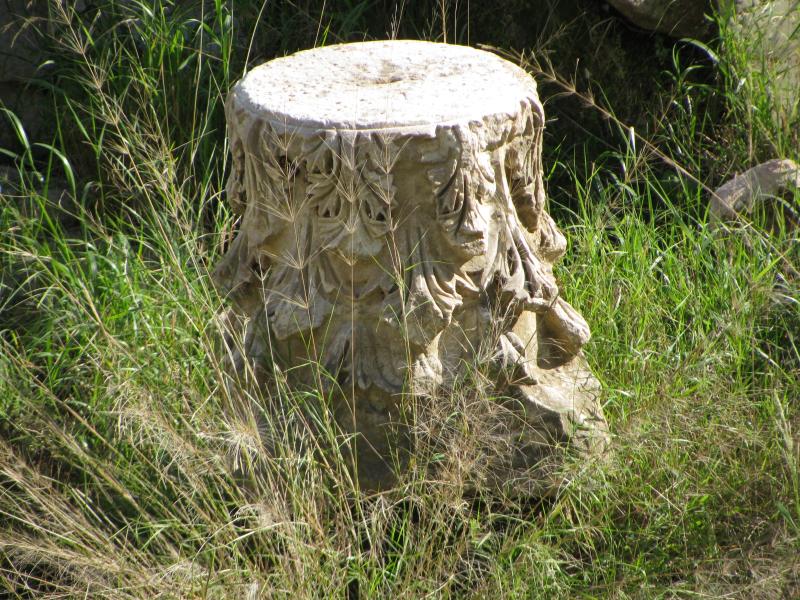 a decorative stump is next to a car