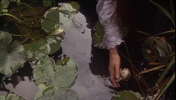 the hand is touching water lilies in the pond