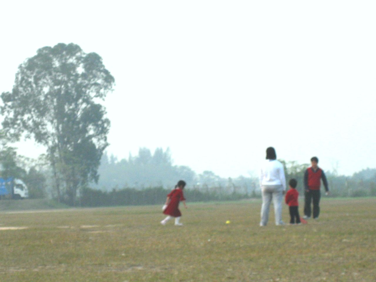 several people standing in the grass playing frisbee