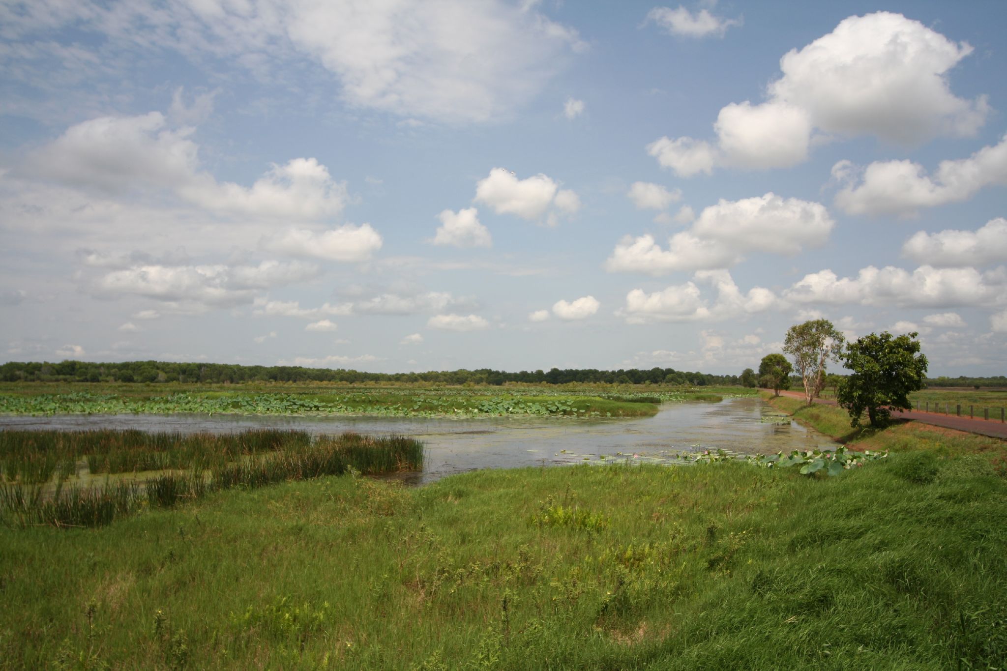 the beautiful view of a field and river from the side