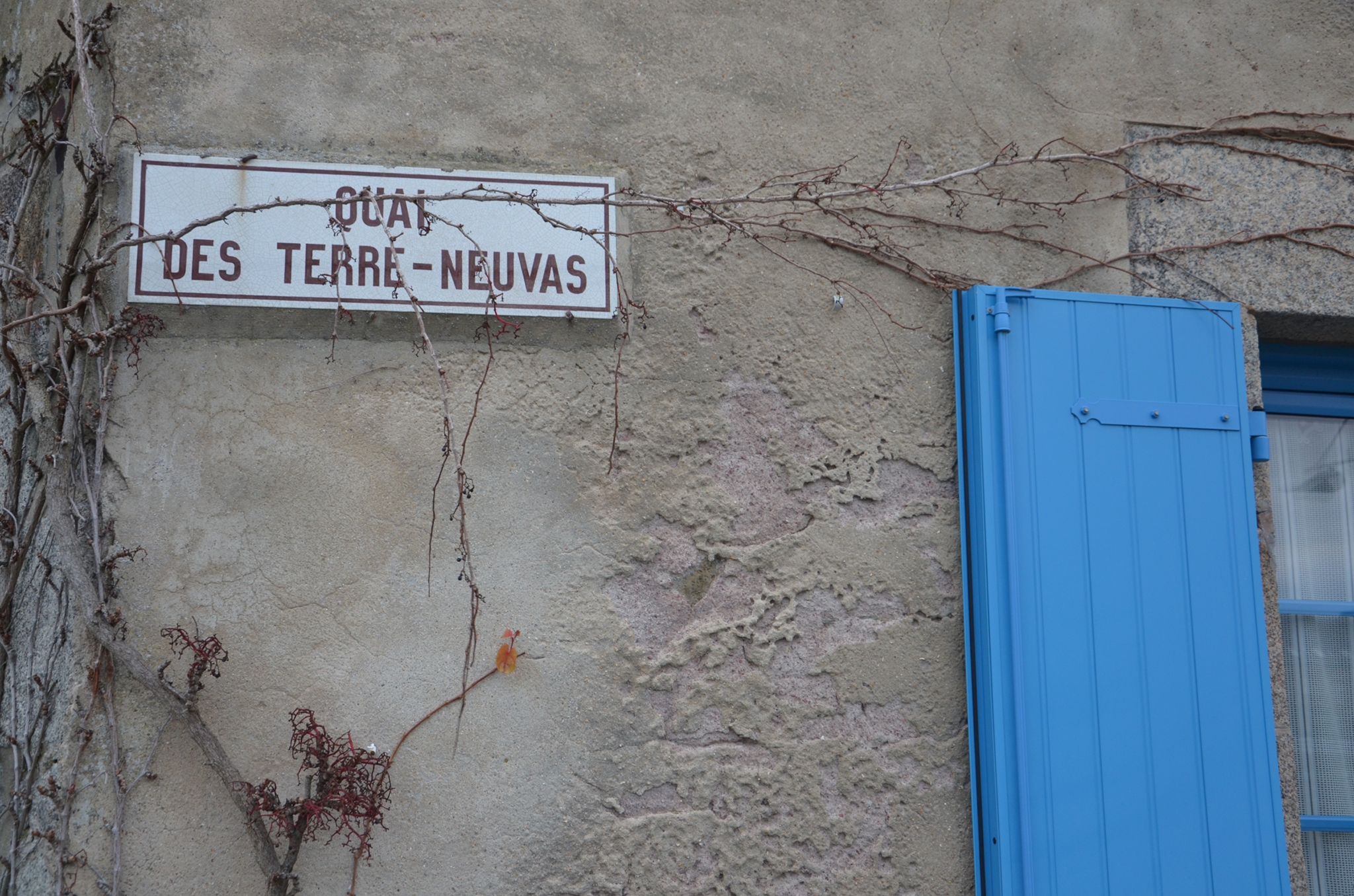 a building with vines growing up the side wall next to a sign