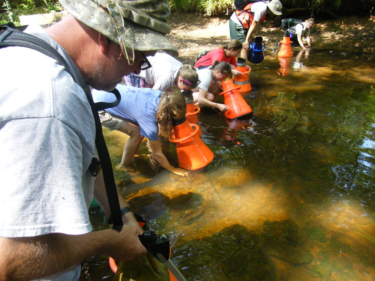 a group of people standing around a body of water