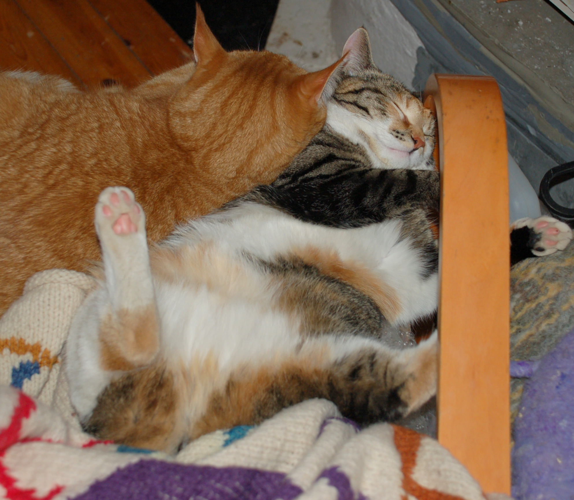 two cats napping on top of each other under a wooden chair