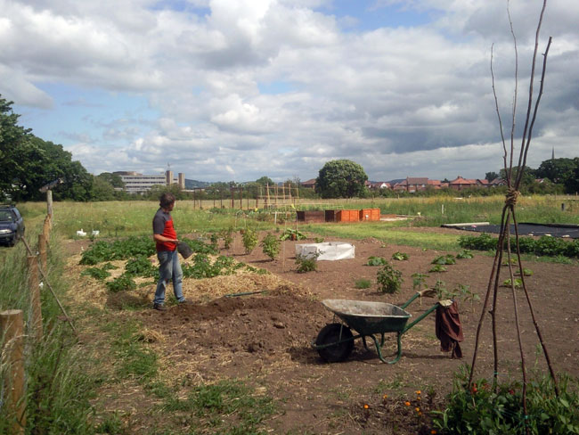 man is standing next to wheelbarrow in garden with wheels