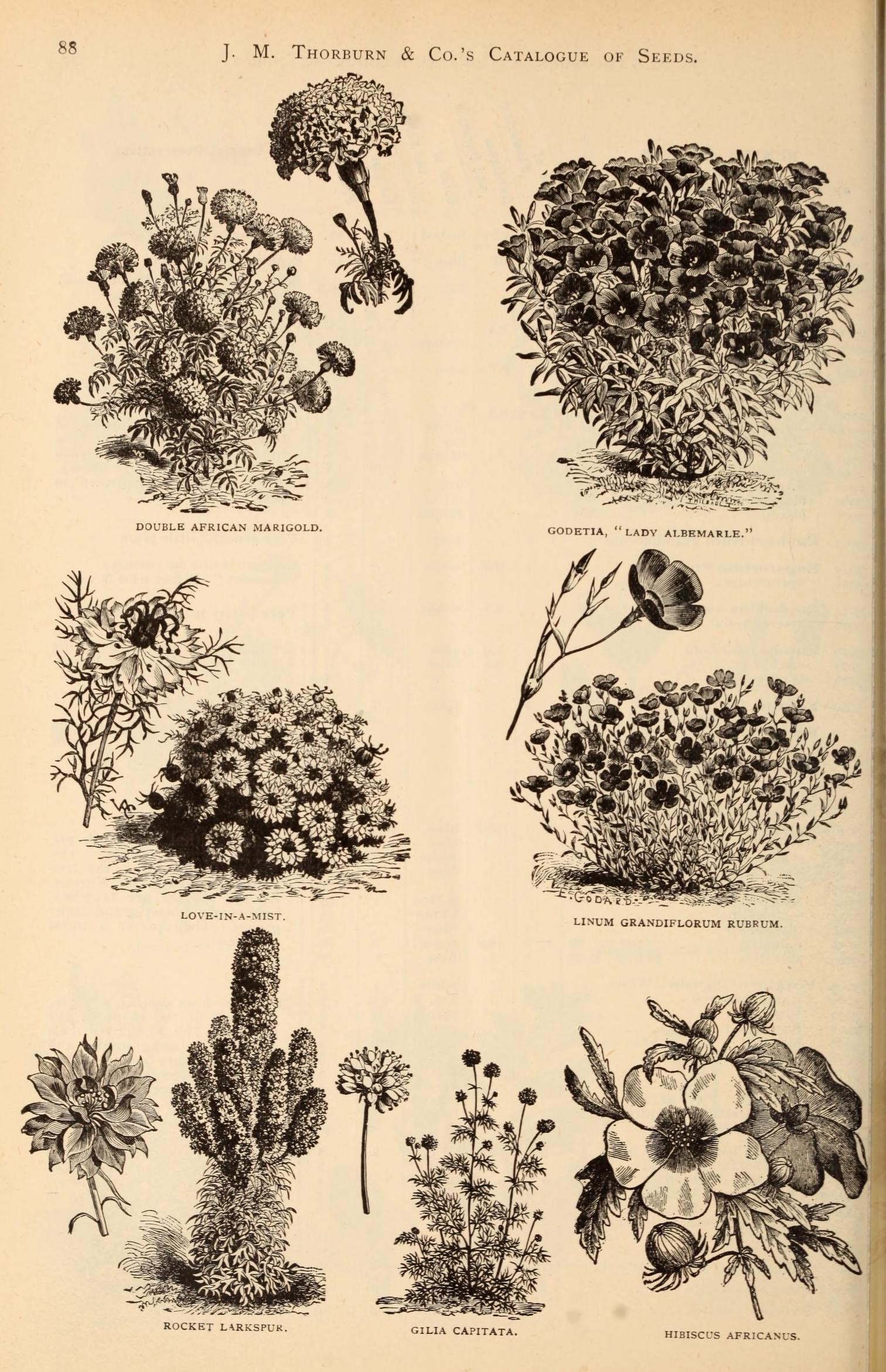 an old book has various types of flowers