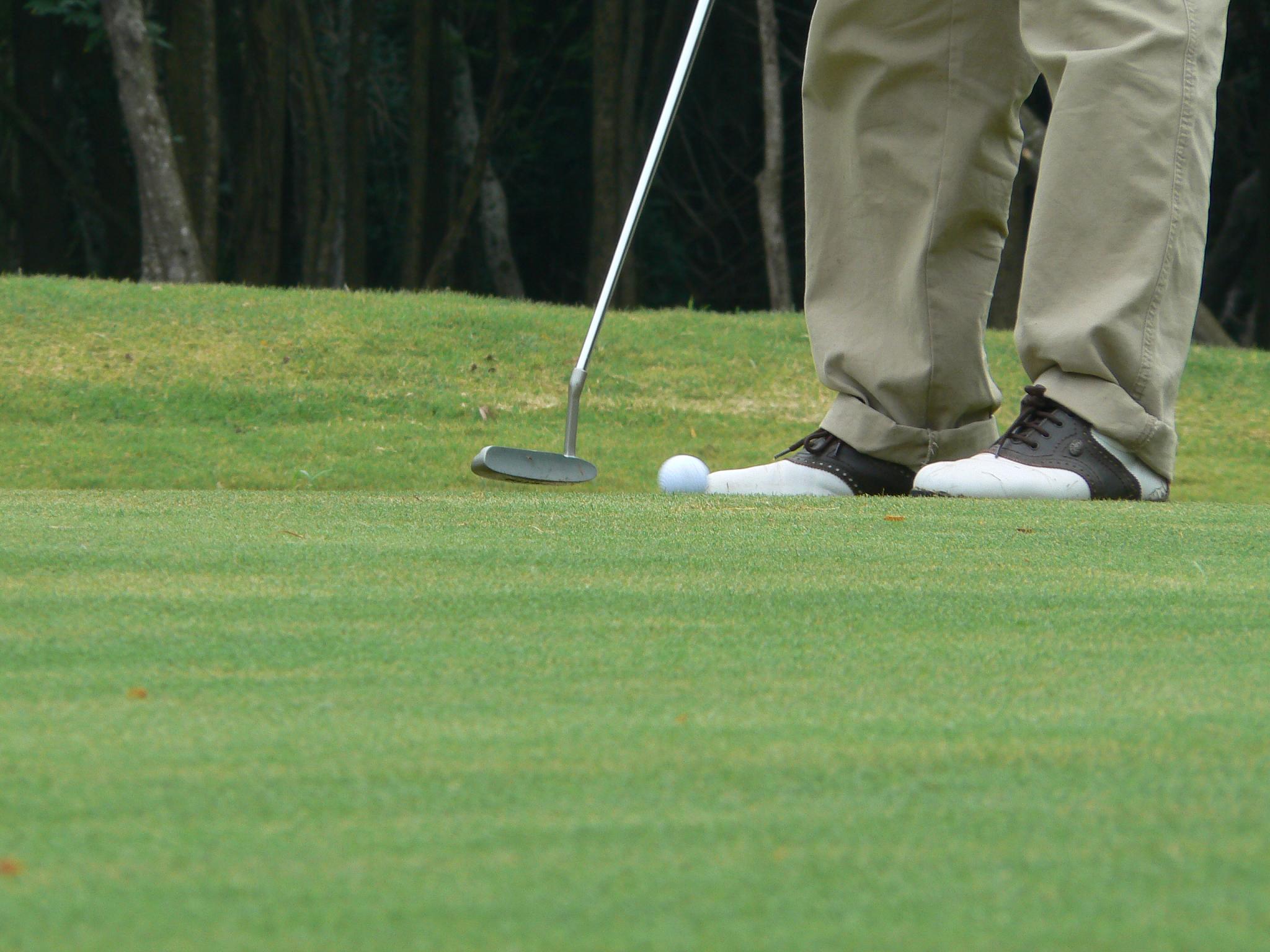 a person playing golf, holding a metal putt in the grass