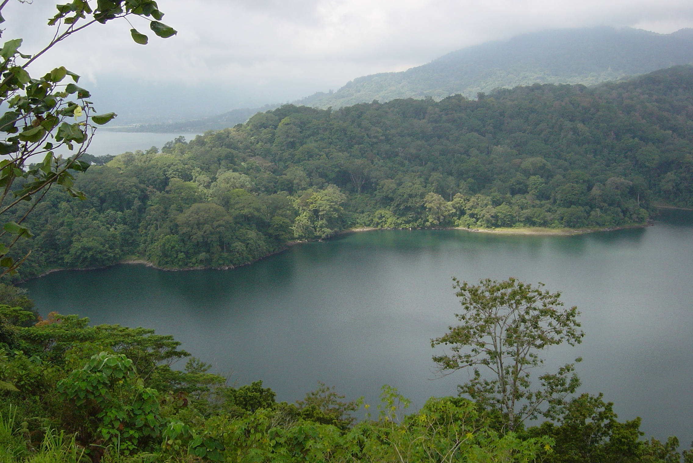 a body of water surrounded by lush green forest