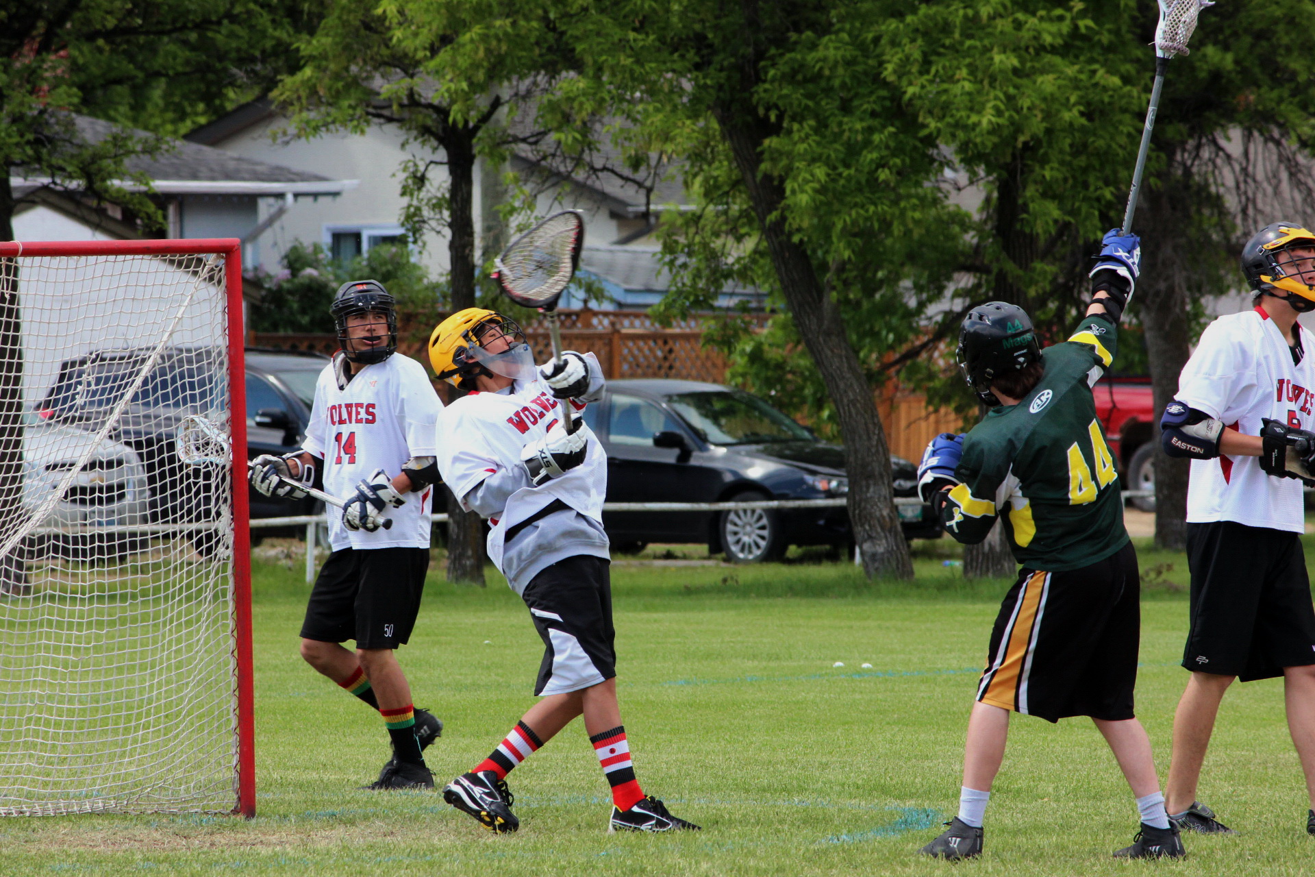 boys playing lacrosse outside near parked cars in grassy field