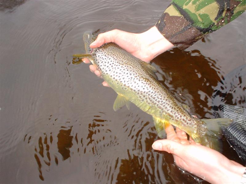 someone holding a large fish in a lake