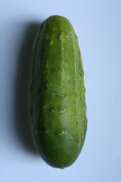 a green cucumber sits on a blue counter