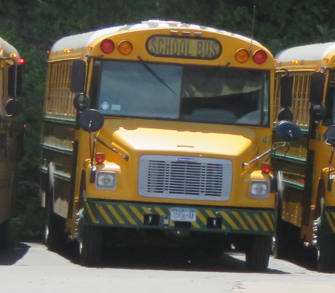 three yellow school buses parked in a parking lot