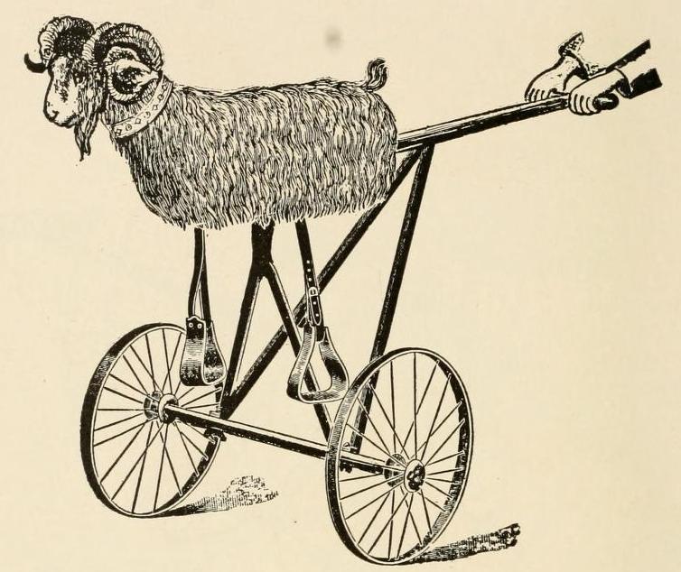 a goat in a wooden bike holding soing