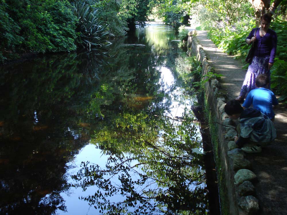 two women in a wooded area looking at a pond with trees