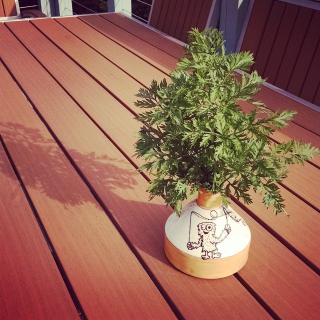 a small plant in a pot on a wood deck