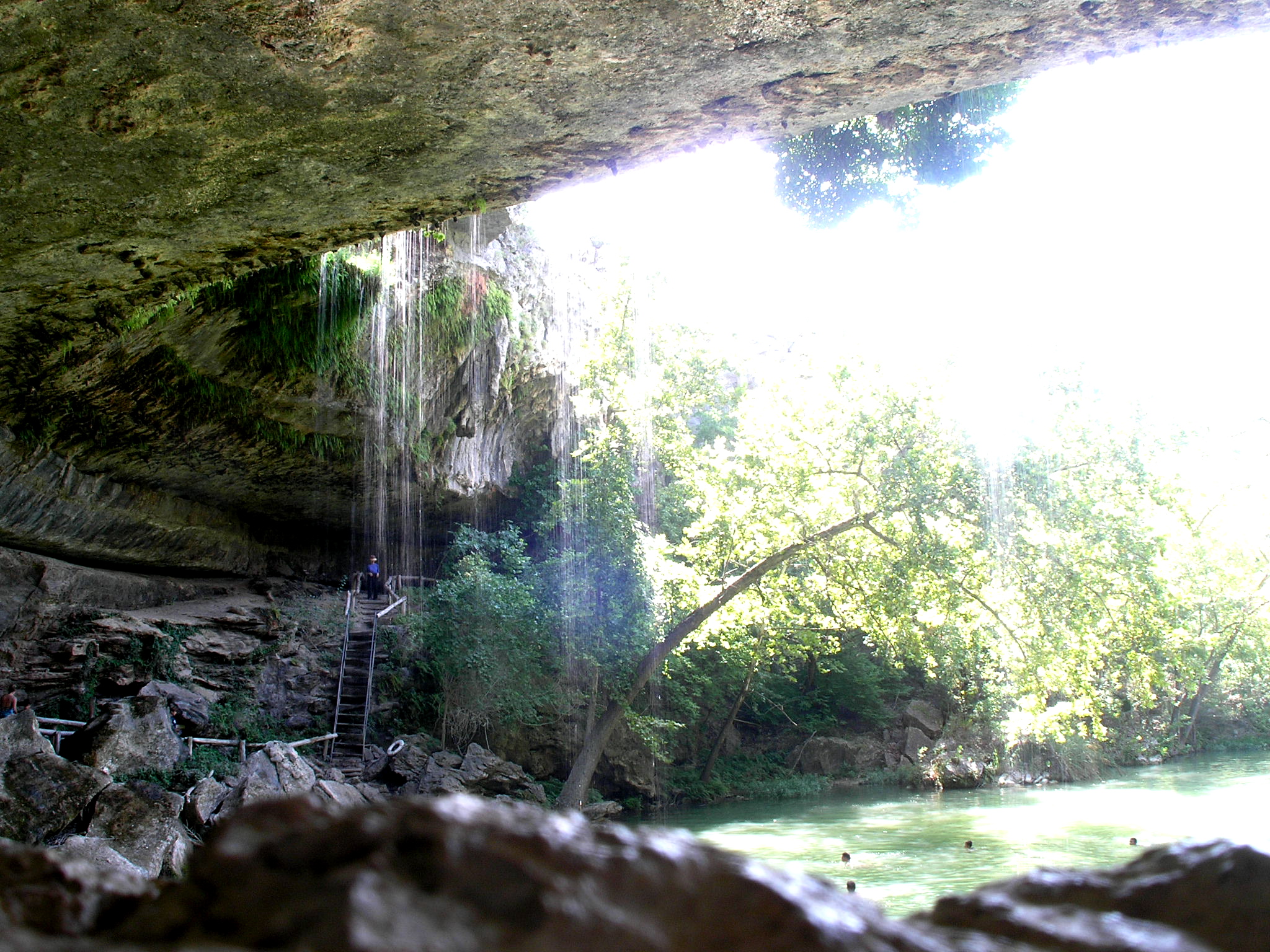 a rock filled with water next to lush green forest