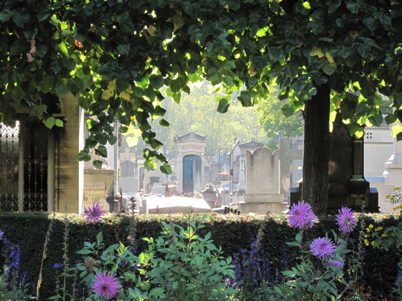 flowers line the ground by an old cemetery