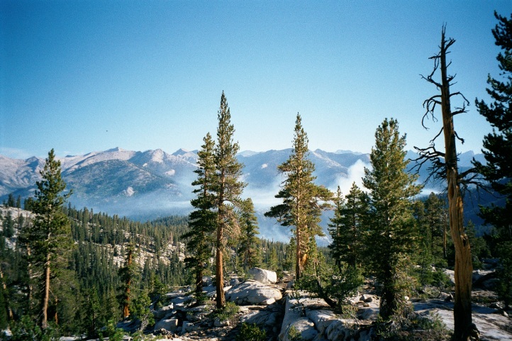 a scenic view of some very tall trees in the mountains