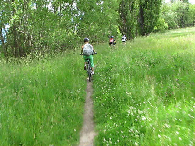 two people on bikes riding down a grass covered path