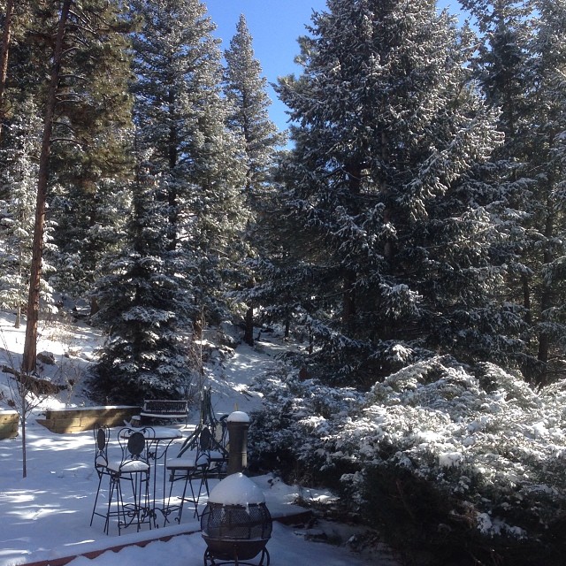 there is a bench in the snow by the trees