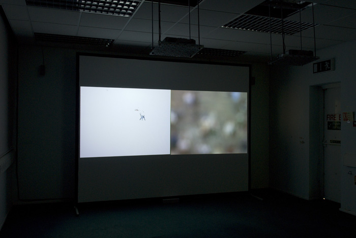 an empty room with a projector screen, and a projection screen that shows a leaf
