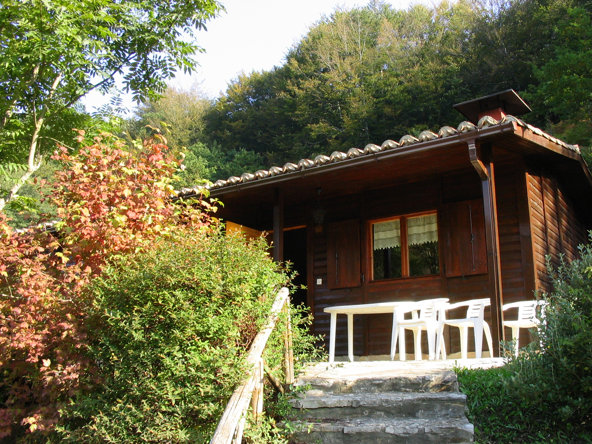 a set of stairs leading to a log cabin