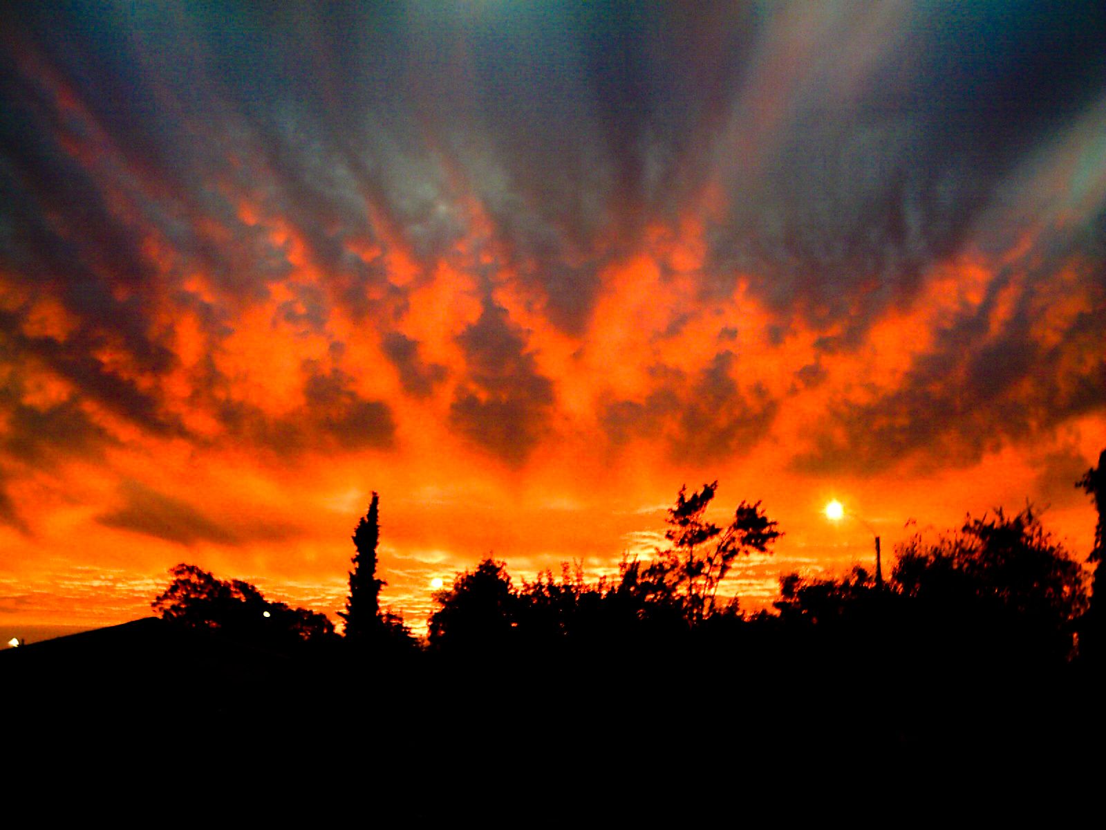 the sky in the background is orange and has a lot of clouds