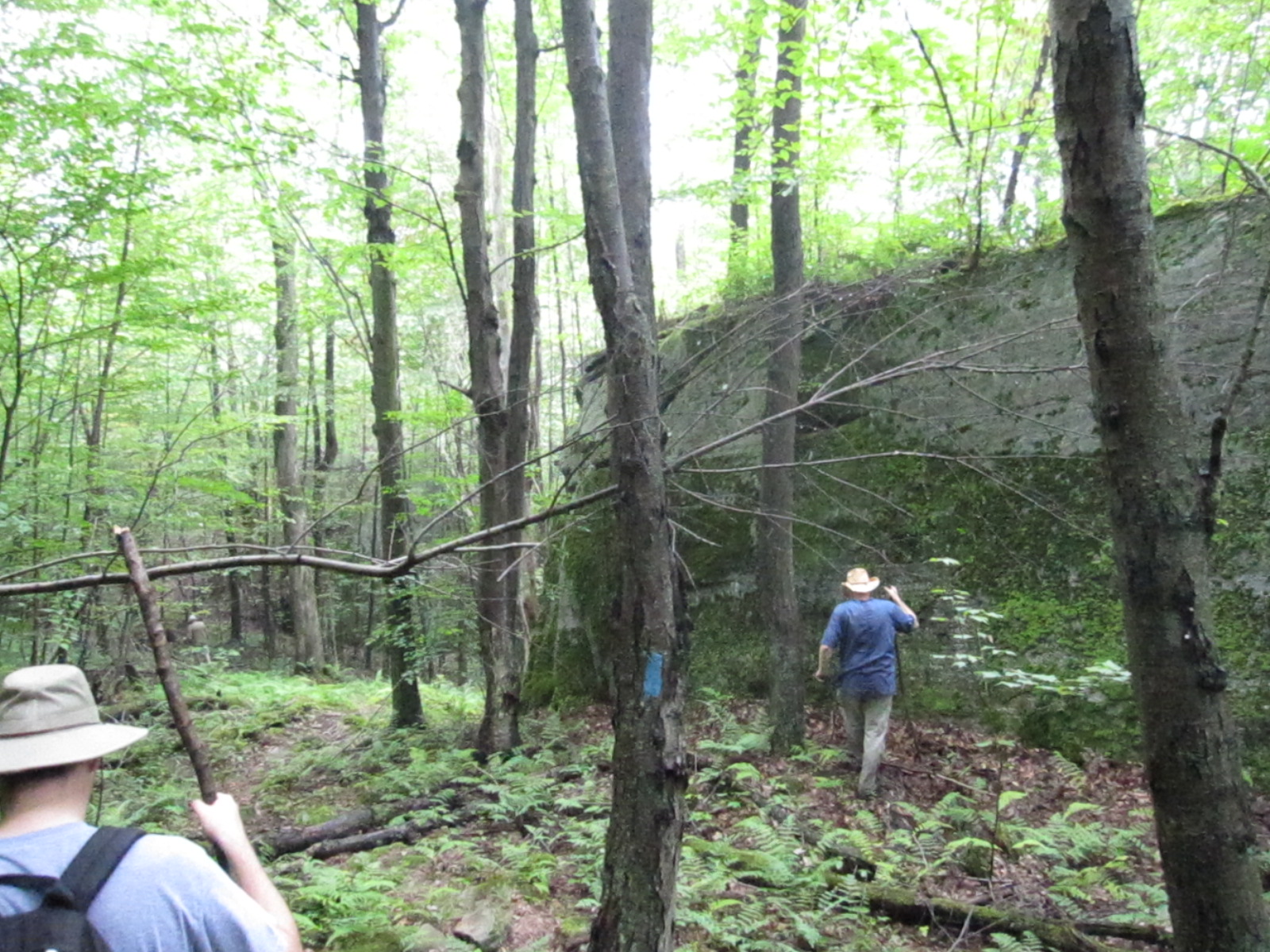 the man in a hat is walking through the woods