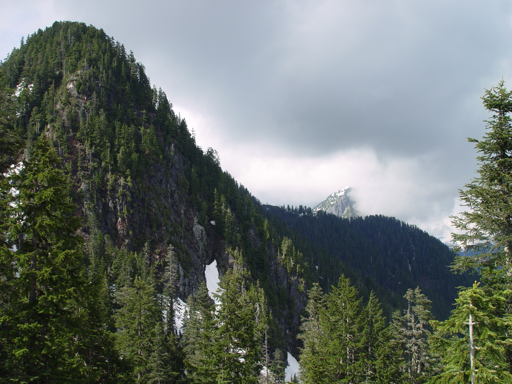 a large mountain surrounded by trees with a sky background