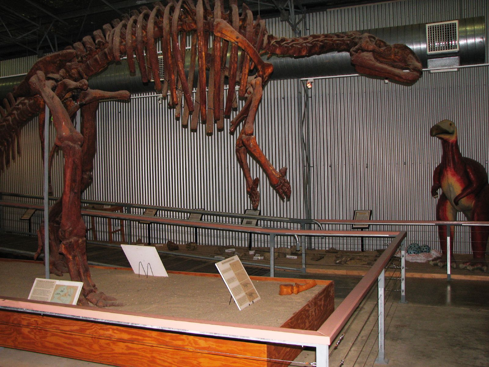 a museum of dinosaurs in a large building