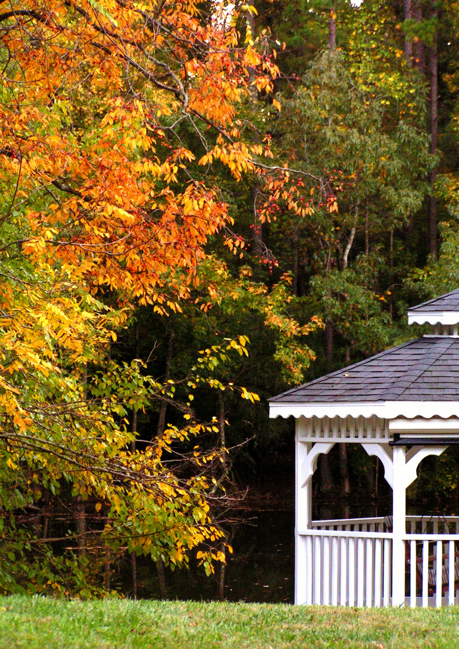 a park area with a white gazebo in the middle