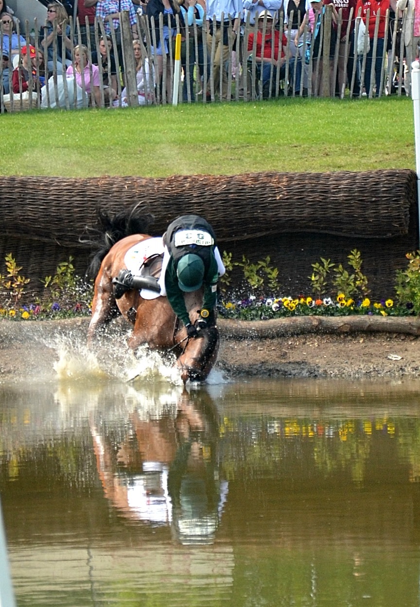 horse splashes across water near a crowd