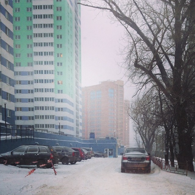 the cars parked in the parking lot are lined up in snow