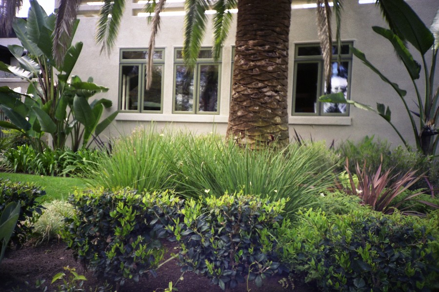 a home with trees, plants and bushes in front